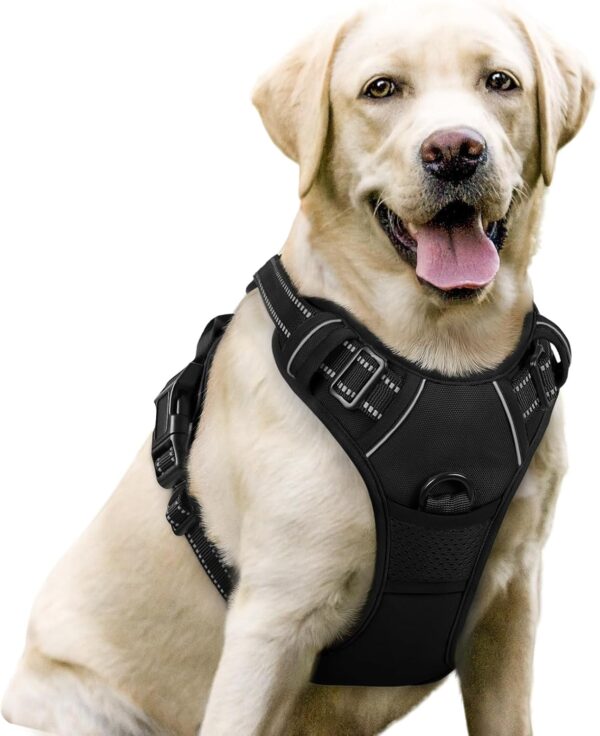 rabbitgoo Dog Harness No Pull with 2 Leash Clips, Adjustable Soft Padded