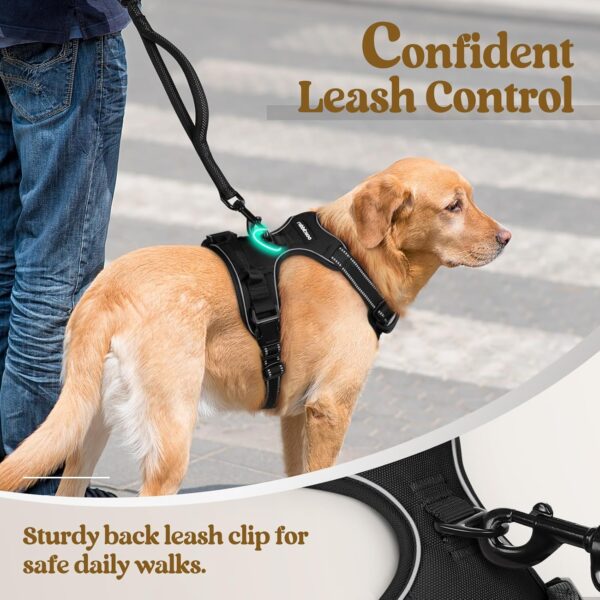 rabbitgoo Dog Harness No Pull with 2 Leash Clips, Adjustable Soft Padded - Image 3